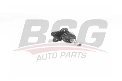 bsg-15-310-184-rotil-alt