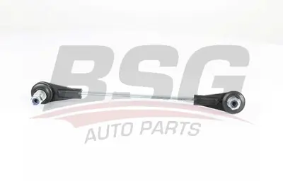 bsg-15-310-186-viraj-aski-rotu-on-sag