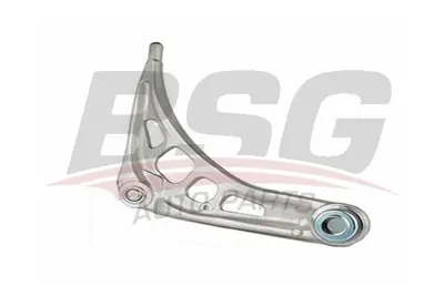 bsg-15-315-008-salincak-on-sag