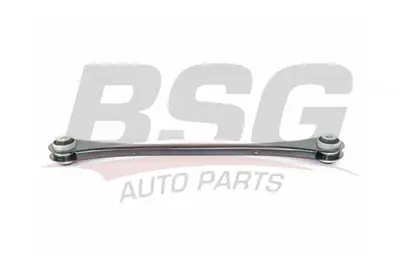 bsg-15-315-111-salincak-arka