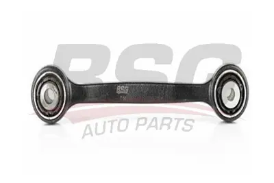 bsg-15-315-114-salincak-arka