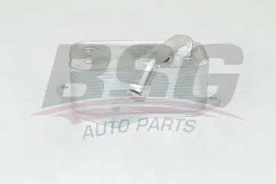 bsg-15-506-004-yag-radyatoru