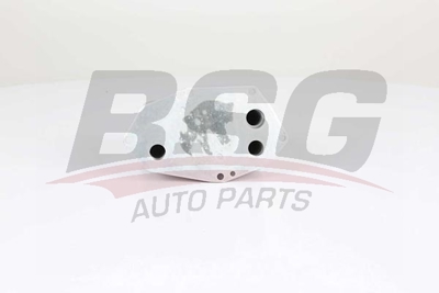 bsg-15-506-019-yag-radyatoru