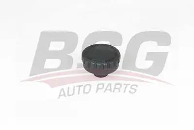 bsg-15-551-002-radyator-kapagi