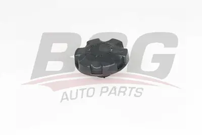 bsg-15-551-006-radyator-kapagi