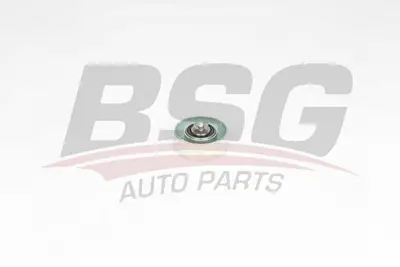 bsg-15-615-010-v-kayis-gergi-rulmani