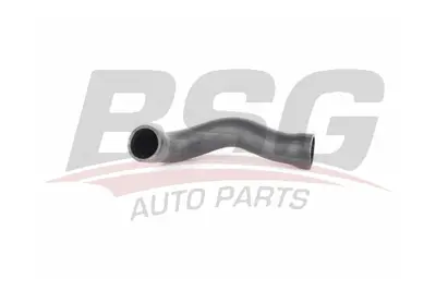 bsg-15-720-037-radyator-hortumu-ust