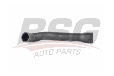 bsg-15-720-044-radyator-hortumu-ust