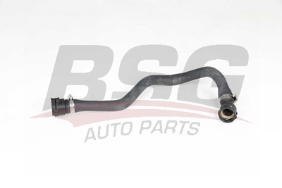 bsg-15-720-054-hortum
