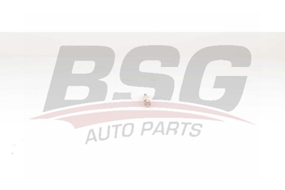 bsg-15-870-005-isitma-bujisi
