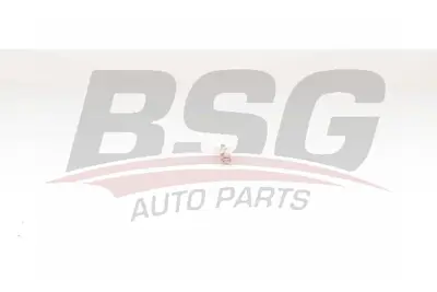 bsg-15-870-005-isitma-bujisi