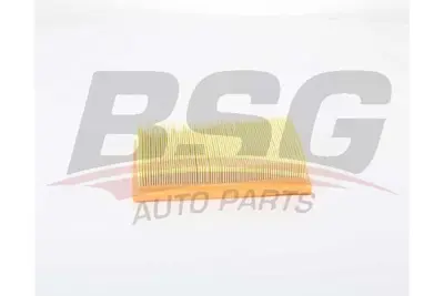 bsg-25-135-008-hava-filtresi