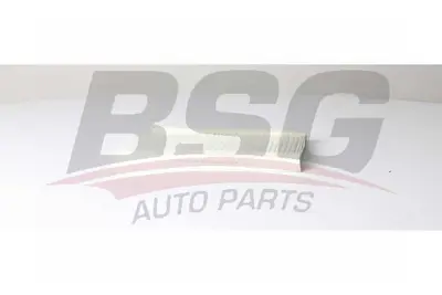 bsg-25-145-004-polen-filtresi