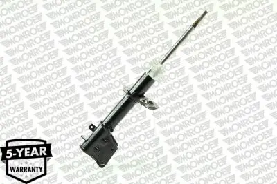 bsg-25-300-018-amortisor-on