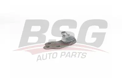 bsg-25-310-022-rotil-alt