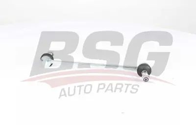 bsg-25-310-047-viraj-aski-rotu-on