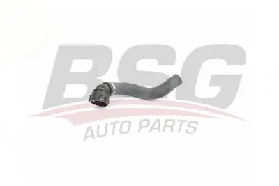 bsg-25-720-024-radyator-hortumu-alt