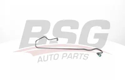 bsg-25-725-003-enjektor-pompaya-gidis-hortumu