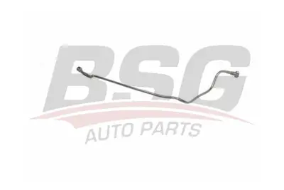 bsg-25-725-005-enjektor-hortumu