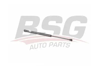 bsg-25-980-011-bagaj-amortisoru