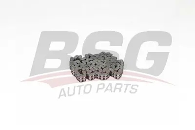 bsg-30-105-005-eksantrik-zinciri