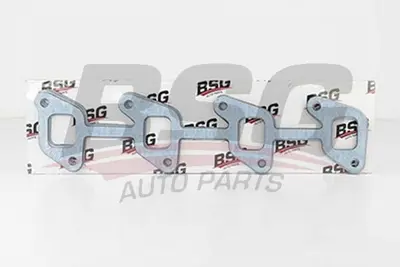 bsg-30-116-059-manifold-contasi-emme