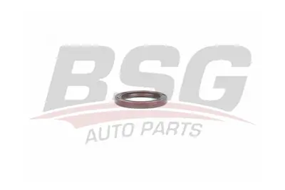 bsg-30-116-113-eksantrik-kecesi