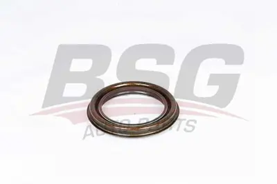 bsg-30-116-131-aks-kecesi-arka