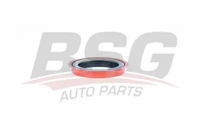 bsg-30-116-140-saft-kafasi-ic-kecesi