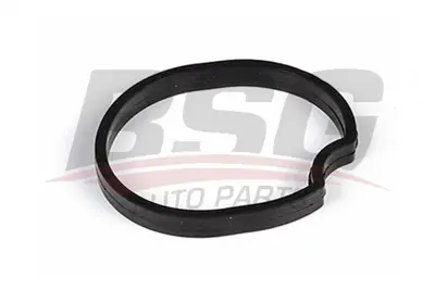 bsg-30-127-001-termostat-govde-contasi