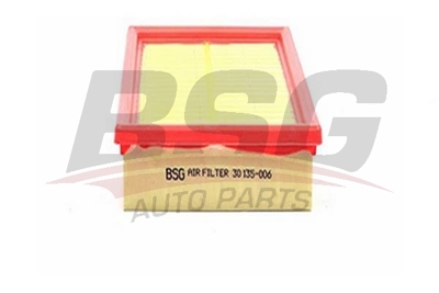 bsg-30-135-006-hava-filtresi
