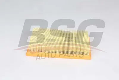 bsg-30-135-029-hava-filtresi
