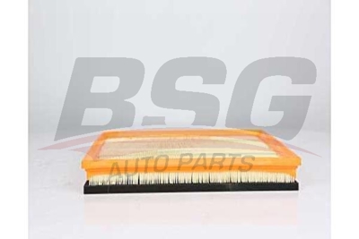 bsg-30-135-033-hava-filtresi