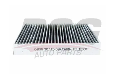 bsg-30-145-016-polen-filtresi