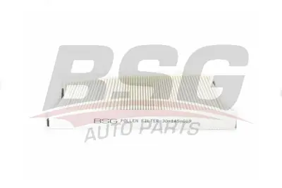 bsg-30-145-019-polen-filtresi