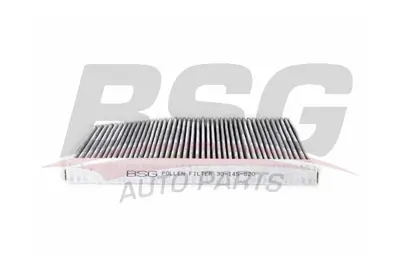 bsg-30-145-020-polen-filtresi