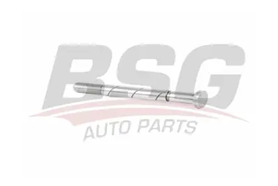 bsg-30-236-003-vakum-pompa-tahrik-mili