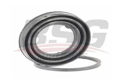 bsg-30-251-024-kaliper-tamir-takimi-arka