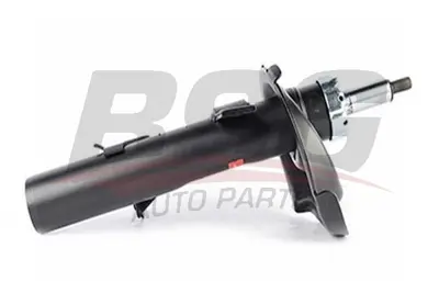 bsg-30-300-056-amortisor-on-sag