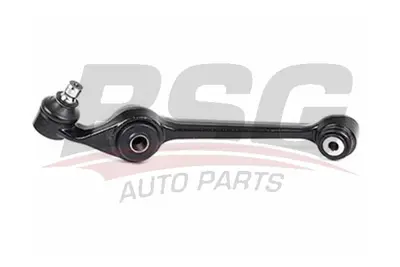 bsg-30-310-002-rotilli-kol-sag