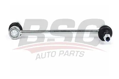 bsg-30-310-097-viraj-aski-rotu-on