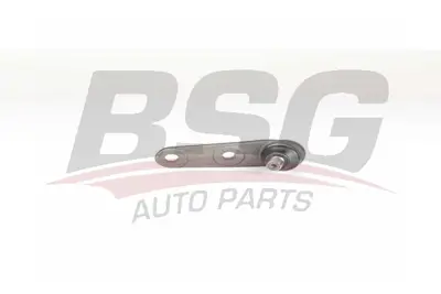 bsg-30-310-154-rotil-alt