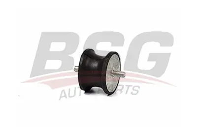 bsg-30-700-055-motor-destek-takozu