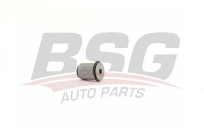 bsg-30-700-447-salincak-burcu-alt