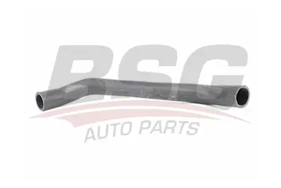 bsg-30-720-133-intercooler-hava-giris-hortumu