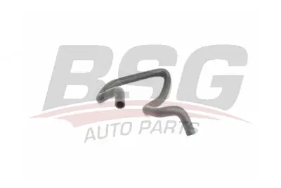 bsg-30-720-254-kalorifer-hortumu