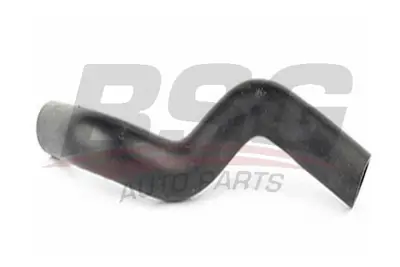 bsg-30-725-075-direksiyon-hortumu