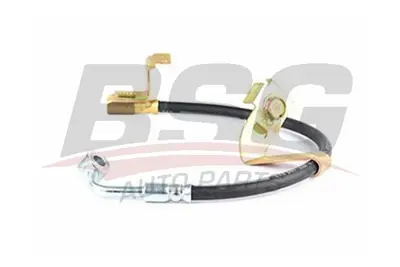 bsg-30-730-018-fren-hortumu-sag