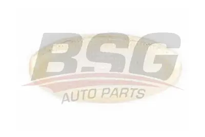 bsg-30-810-021-camurluk-sinyali