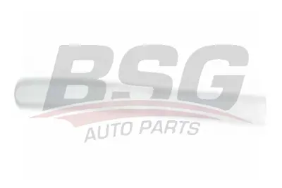 bsg-30-924-041-kapi-bandi-on-sag